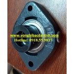 ĐẠI LÝ BẠC ĐẠN INA